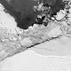 A Landsat 8 view of the freakishly geometric iceberg from space (see arrow at center left). The photo was taken on October 14, 2018, just two days before Operation IceBridge captured its now-famous photo of the iceberg.